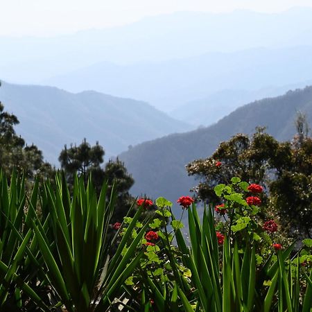 San Jose Del Pacifico- Cabanas Camino Al Cielo 1 Dış mekan fotoğraf