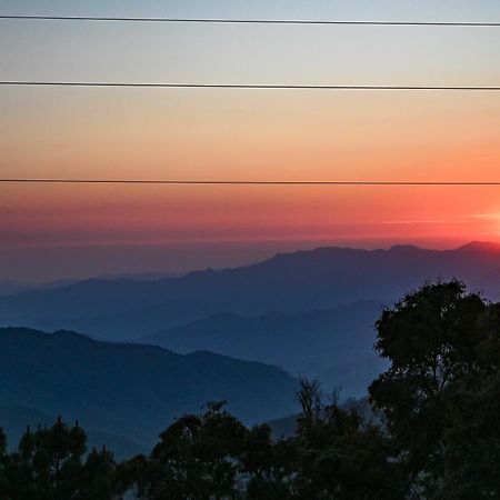 San Jose Del Pacifico- Cabanas Camino Al Cielo 1 Dış mekan fotoğraf