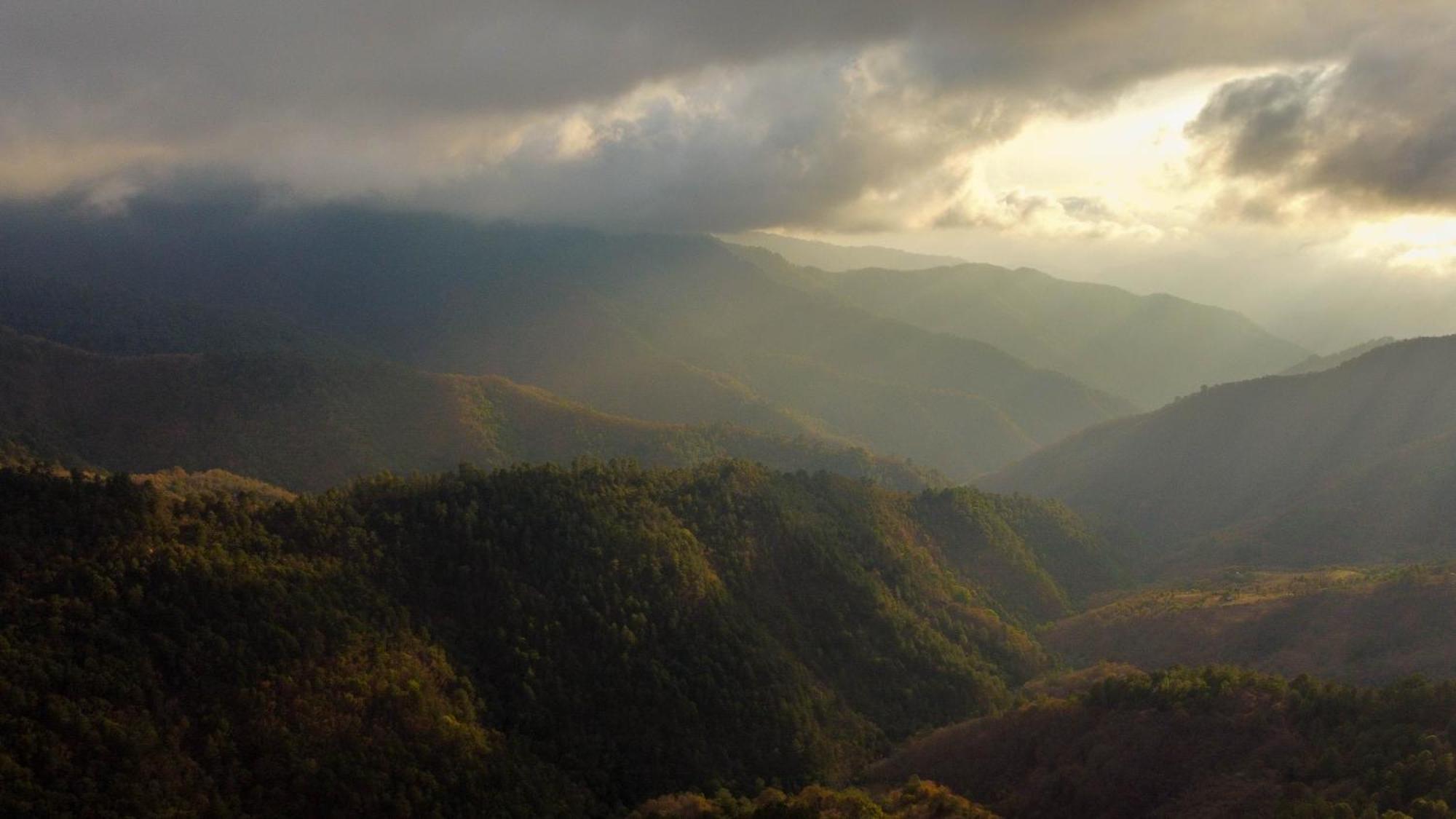 San Jose Del Pacifico- Cabanas Camino Al Cielo 1 Dış mekan fotoğraf
