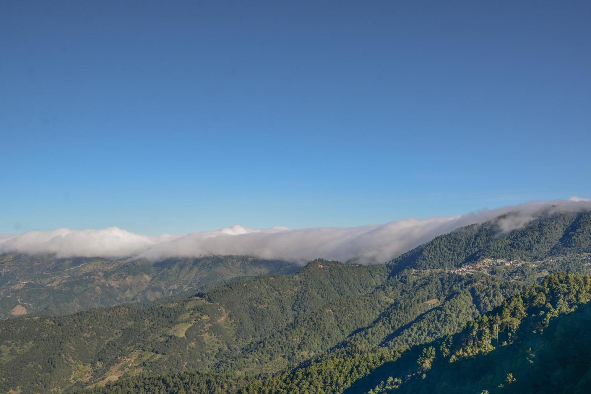 San Jose Del Pacifico- Cabanas Camino Al Cielo 1 Dış mekan fotoğraf