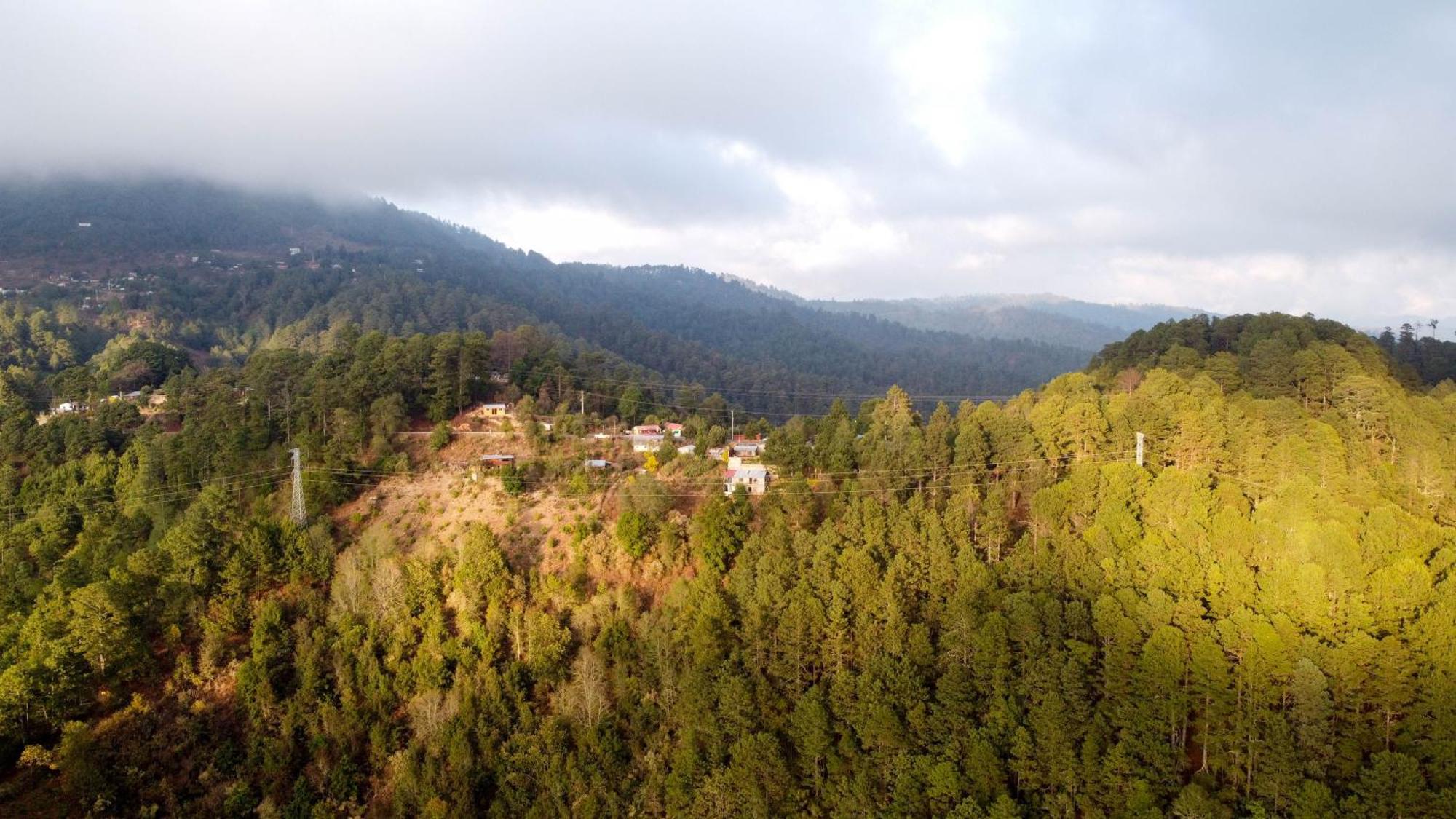 San Jose Del Pacifico- Cabanas Camino Al Cielo 1 Dış mekan fotoğraf