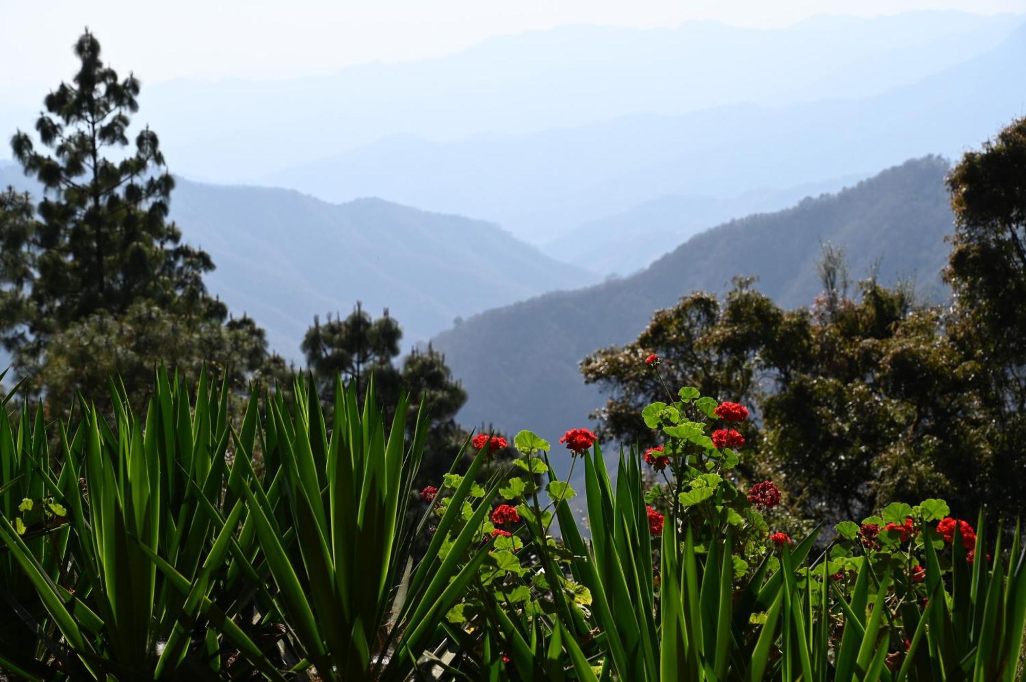 San Jose Del Pacifico- Cabanas Camino Al Cielo 1 Dış mekan fotoğraf